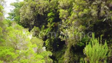 4马德拉岛山脉瀑<strong>布</strong>的K<strong>视频</strong>。 月桂<strong>绿</strong>林中的马德拉莱瓦达斯。 它是国家公园